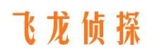 博尔塔拉飞龙私家侦探公司